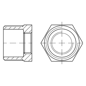 ISO4144- Buje de Reducción en AISI316