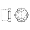 ISO4144- Buje de Reducción en AISI316