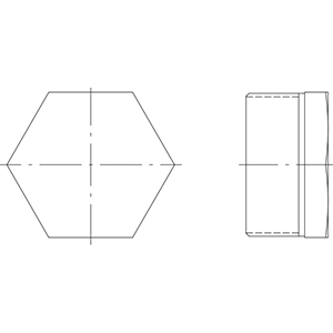 ISO4144- Tapon Hexagonal BSP en AISI316