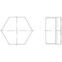 ISO4144- Tapon Hexagonal BSP en AISI316