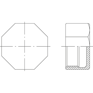 ISO4144- Tapa hexagonal BSP en AISI316