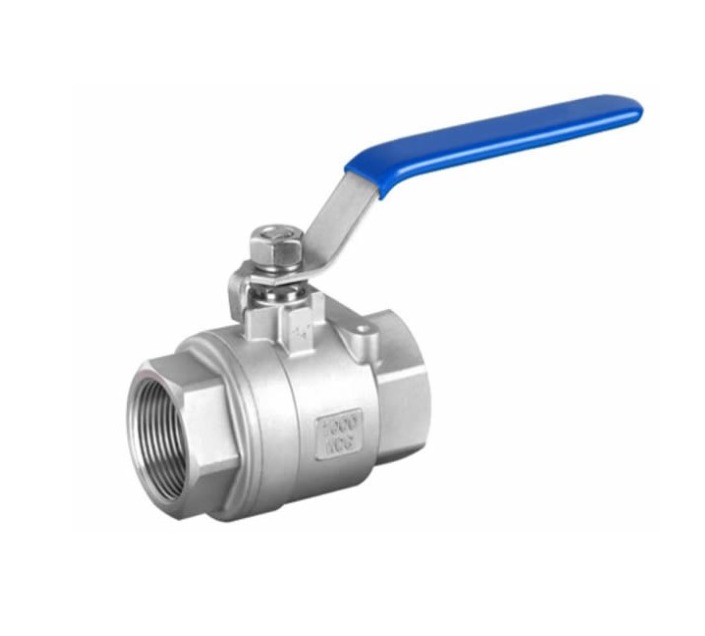 Valvula Esferica PN25 2pz / BSP / PTFE en AISI316