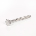 Tirafondo Cabeza Hexagonal en AISI304