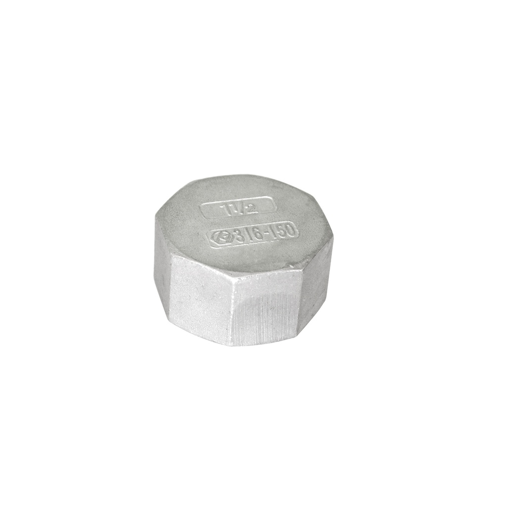 ISO4144- Tapa hexagonal BSP en AISI316