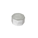 ISO4144- Tapa hexagonal BSP en AISI316