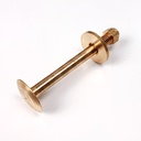 Bulones Para Tapa de Cámara en BRONCE